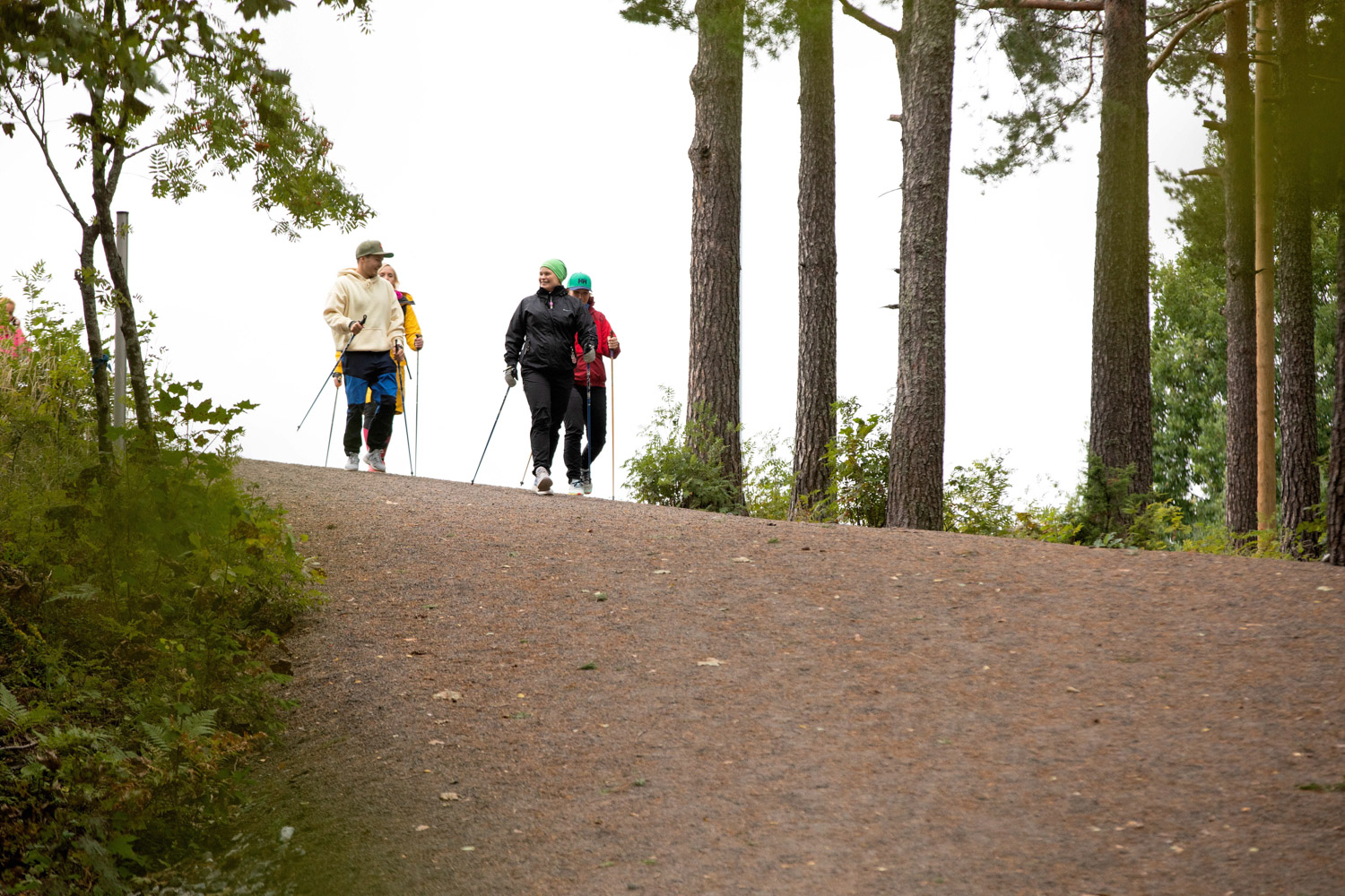 Neljä henkilöä sauvakävelemässä pururadalla metsämaisemassa.